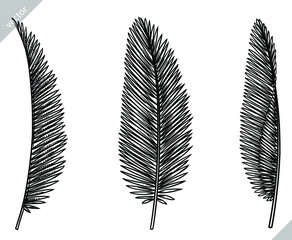 black and white engrave isolated palm leaf illustration