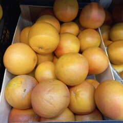 apricots at the market