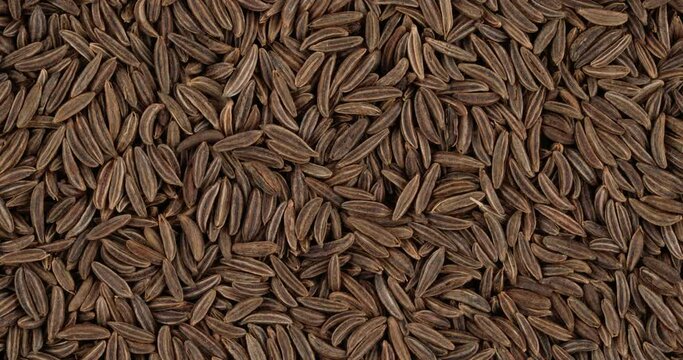 Top view of caraway seeds rotating. Closeup. Macro.