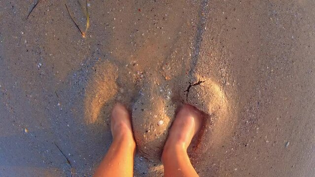 Girl bare naked feet digging into wet sand of sea beach on seashore at sunset dawn. Barefoot on sand beach. Top view. POV. Touch pleasure relaxation rest vacation enjoyment feel summer. Slow motion