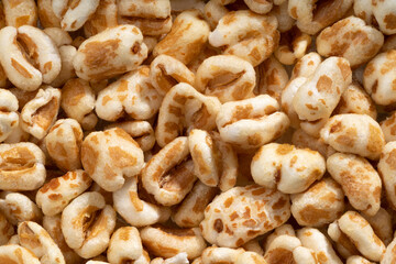 Detailed and large close up shot of cereal.