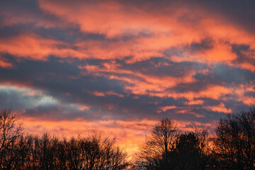 Burning sunset with fire red clouds over trees in winter