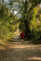 Fototapeta premium running in forest