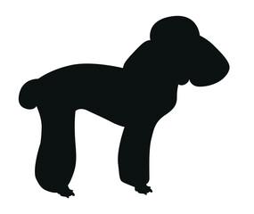 Black silhouette of a poodle dog, outline of a standing dog