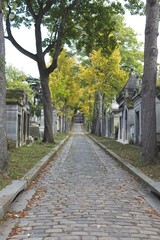 cemetery in the town