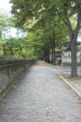 cemetery in the town