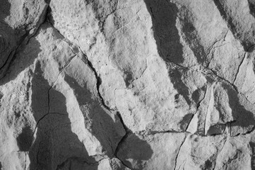 Limestone rock texture by the Adriatic sea coast, unusual shapes and formations, black and white