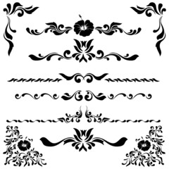 Malaysia vintage frame floral hibiscus draw