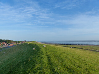 view of the coast of the river