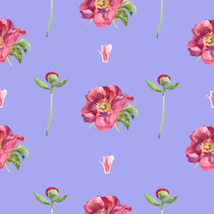 Abstract watercolor with pink peonies seamless pattern on Very Peri isolated background.Textural,botanical,floral hand painted print.Designs for textiles,fabric,wrapping paper,packaging,scrapbooking.