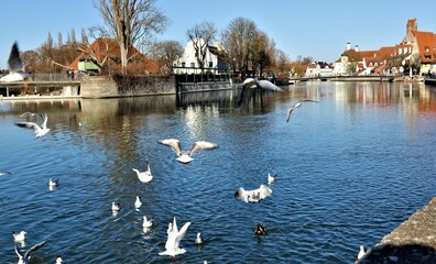Landshut