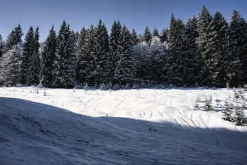 Wonderful winter landscape with snow covered trees in Bavaria Germany Alps