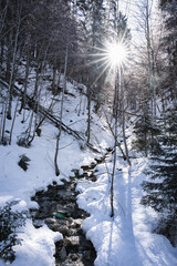 Breitachklamm Alps - forest in a winter landscape with a sun star