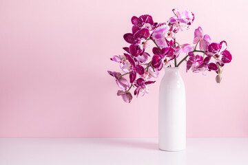 Fototapeta na wymiar Beautiful flowers composition. Bouquet of pink orchids in vase on table. Pink orchid flower on pastel pink background. Concept Valentines Day, Happy Women's Day, March 8. 