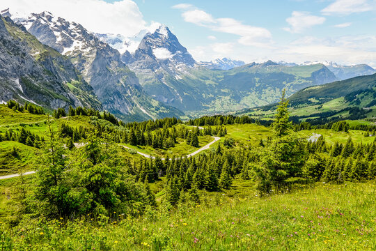 Grindelwald, Eiger, Eigernordwand, Schreckhorn, Wetterhorn, Kleine Scheidegg, Lauberhorn, Tschuggen, Grosse Scheidegg, Bergstrasse, Wanderweg, First, Berner Oberland, Alpen, Sommer, Schweiz