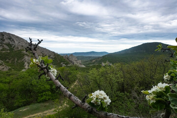 Fototapeta na wymiar View of the road in the gorge of the Echki-Daga mountain. Picturesque view of the Crimean mountains. Fox Bay. Crimea.