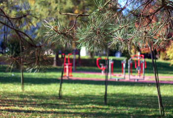 Fototapeta na wymiar summer cityscape, coniferous trees, park, out of focus in the distance, sports equipment on the street