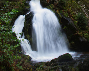 Obraz premium Water from the Triberg waterfall flowing into a basin, surrounded by green plants on a fall day in the Black Forest of Germany.