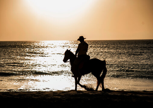 silhouette of a horse and horse riding on the sunset beach