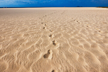 footprints in the sand