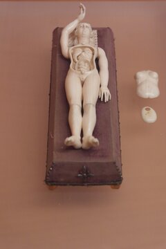  Fine elegant manikin figure detailed pregnant women with infant baby child, white figurine made of ivory bone, creative medical art. Scheme of female organs, abdominal cavity system. Lisbon museum.