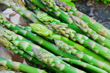 Organic fresh green asparagus packed in eco-package on field background. Copy space, horizontal image.  Asparagus officinalis. Spring healthy cooking idea concept. Selective focus