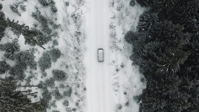 The car drives along the road in the winter forest