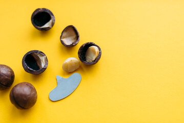 Composition with whole and peeled macadamia nuts on yellow background