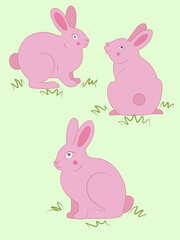 Vector set of pink rabbits on green field