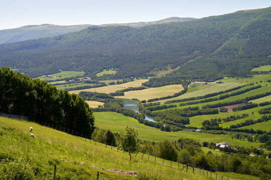 A Green, agricultural fields in a valley, close to Dombas, Norway. Remote snow-covered mountains.