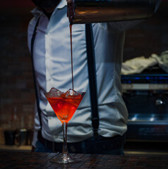 professional bartender prepares a cocktail in the martini glass