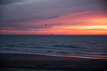 Fototapeta na wymiar blick auf die ostsee bei sonnenaufgang mit einem seevogel und eiem Tanker schiff am horizont