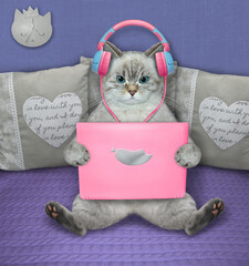 An ashen cat in earphones sits and works with a pink laptop in bed at home. - 487751944