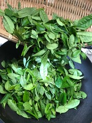 釜炒り茶です。