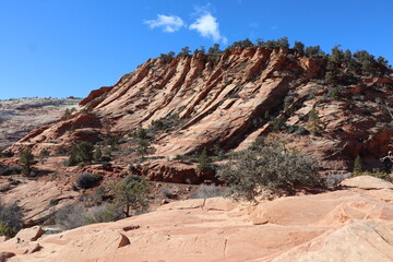 Fototapeta premium Zion Canyon, Utah
