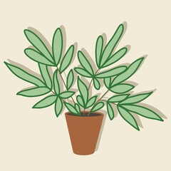 Realistic 3d green tropical potted plant for home and office interior decoration. Flat design, cartoon, vector illustration.