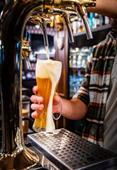 bartender hand at beer tap pouring a draught beer in glass serving in a bar or pub