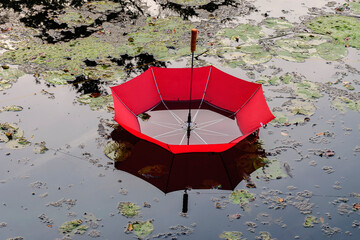 red and yellow umbrella