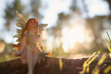 image of magical little fairy in the forest at sunset
