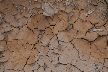 desert area. Hot area. Dry area.