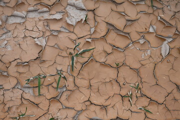 desert area. Hot area. Dry area.