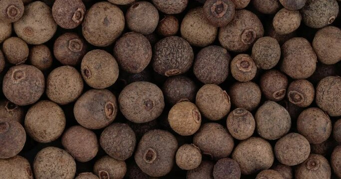 Top view of whole allspice berries rotating. Closeup. Macro.