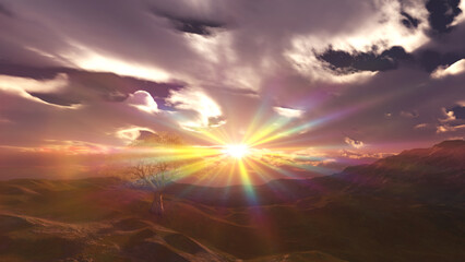 Obraz premium sunset at meadow and lonely tree