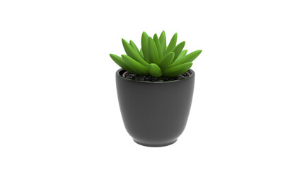 succulent plant with pot without shadow 3d render