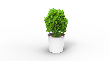 devils ivy plant with pot with shadow 3d render