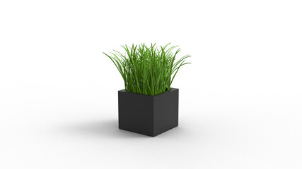 grass with pot with shadow 3d render