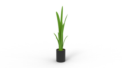 snake plant with pot with shadow 3d render