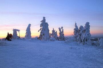 Winter Landschaft mit schnee bedeckten Bäumen in den Bergen 