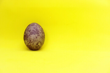 Purple easter egg on yellow background