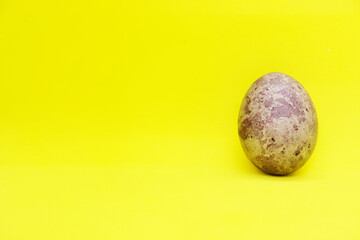 Purple easter egg on yellow background